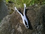plier catty naked.jpg